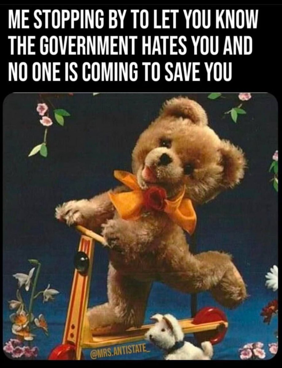 TheOnceAndFutureTimbo 🐈‍⬛🐦‍⬛ tweet media