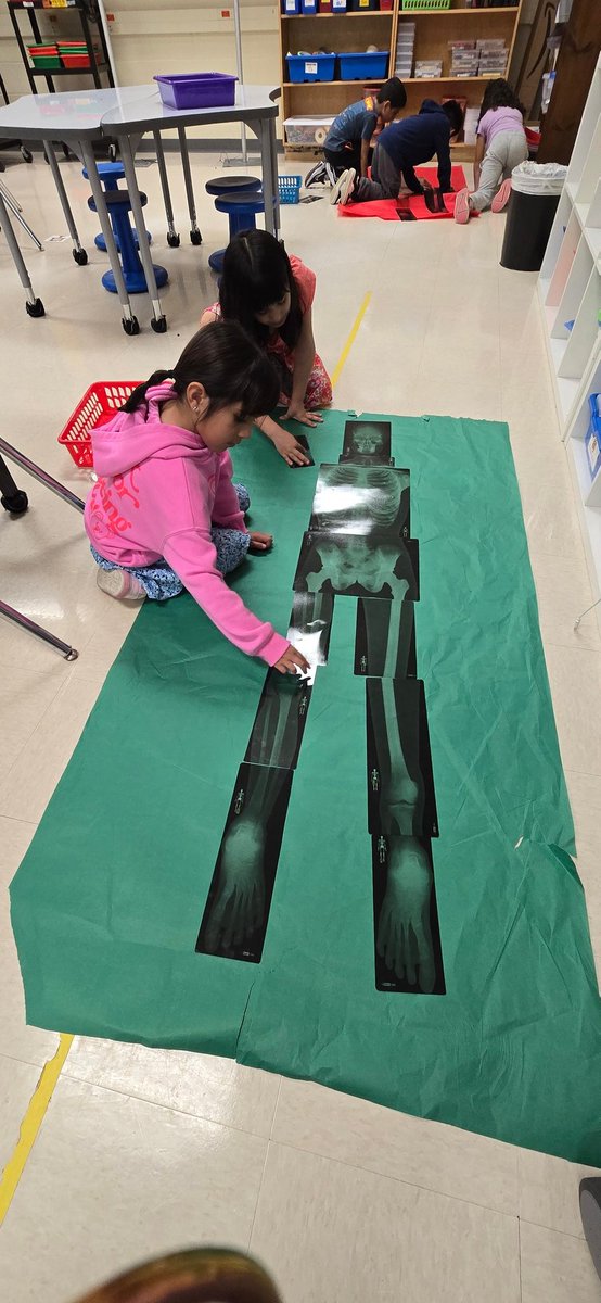 Norma Sierra tweet media