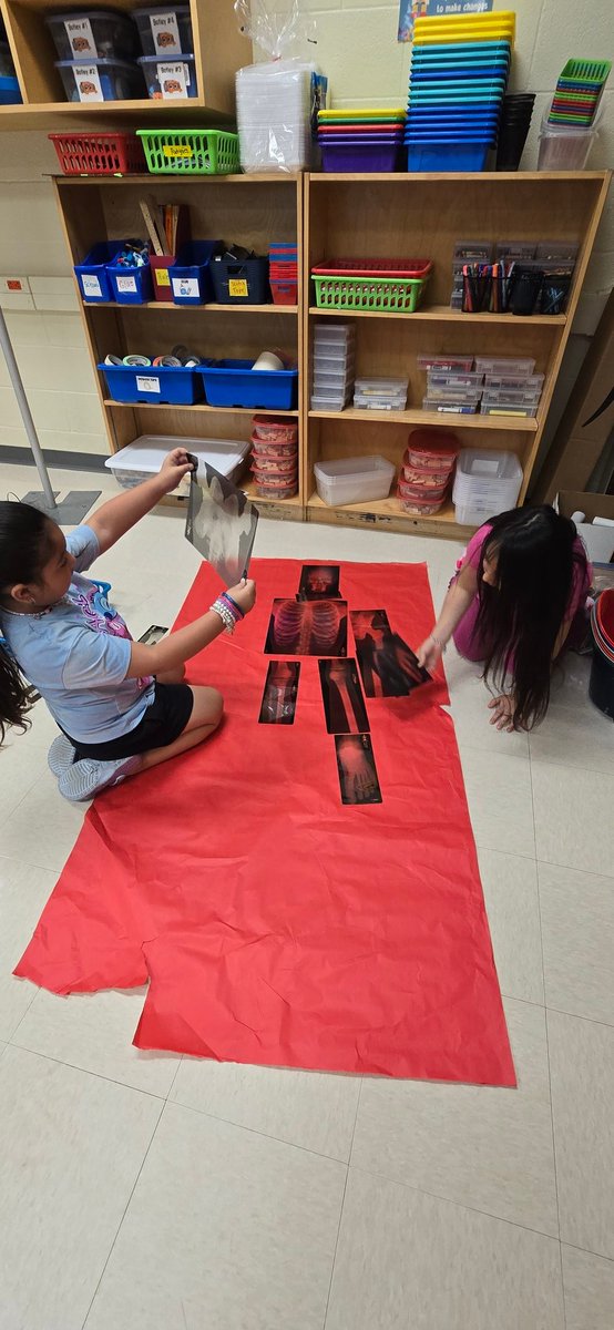 Norma Sierra tweet media