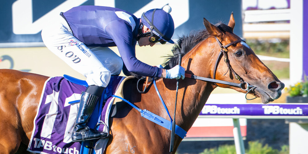 Giddy Up With Gareth Hall tweet media