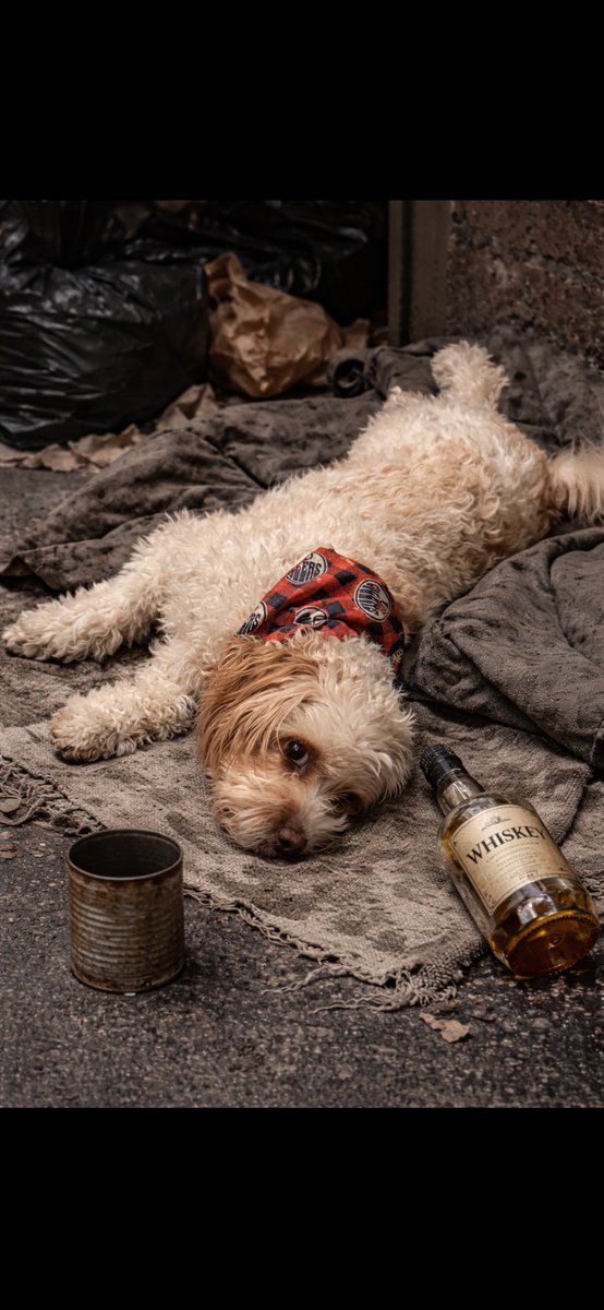 Andy Jamieson tweet media