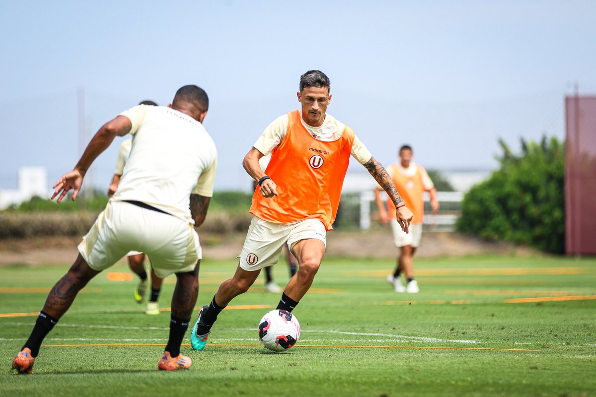 Gustavo Peralta Coello tweet media