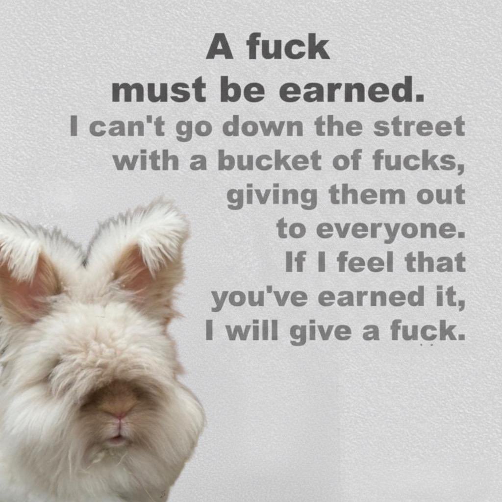 Daily Bruce (@badbunbruce) on Twitter photo 