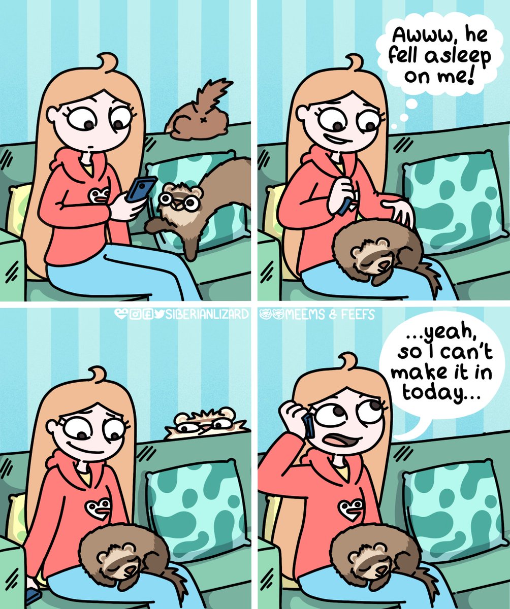 siberianlizard's tweet image. Some of the fine vintage fur noodles from the archives.... Featuring my red hoodie too! It was way easier to colour then, thats for sure. 📷 #ferrets #throwbackthursday #ferretsofinstagram #TBT