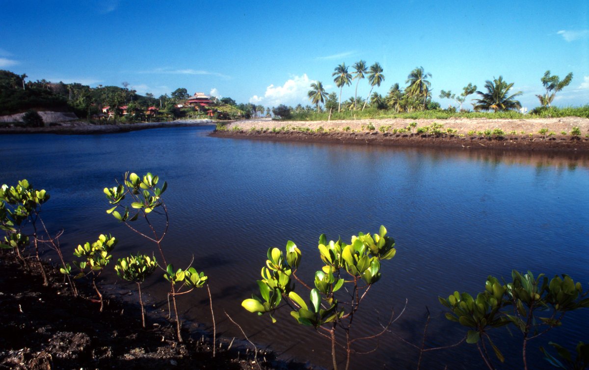 WWF Climate & Energy tweet media