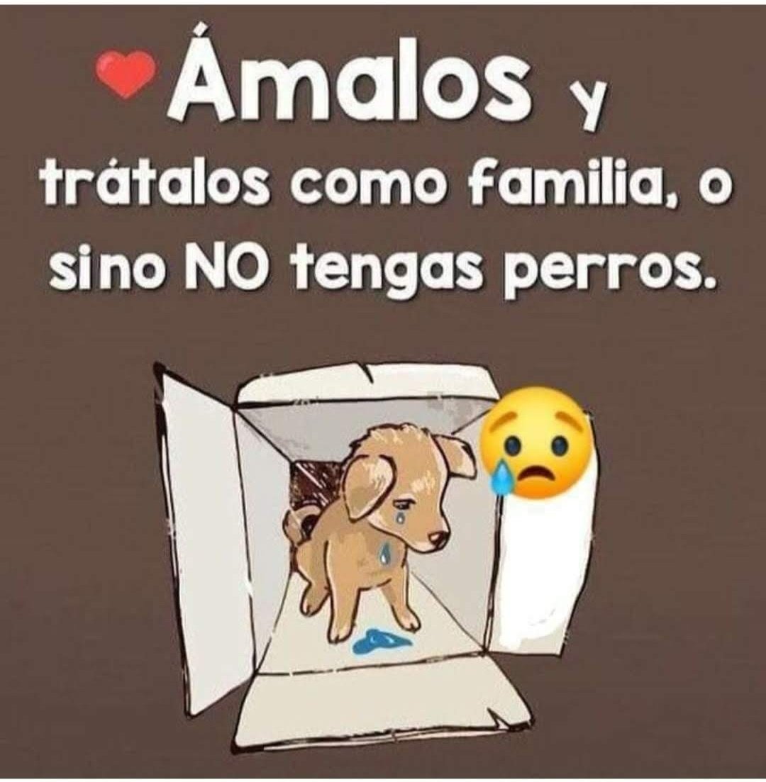 Manu Saenz💛💛 (@manusaenzvolvio) on Twitter photo 