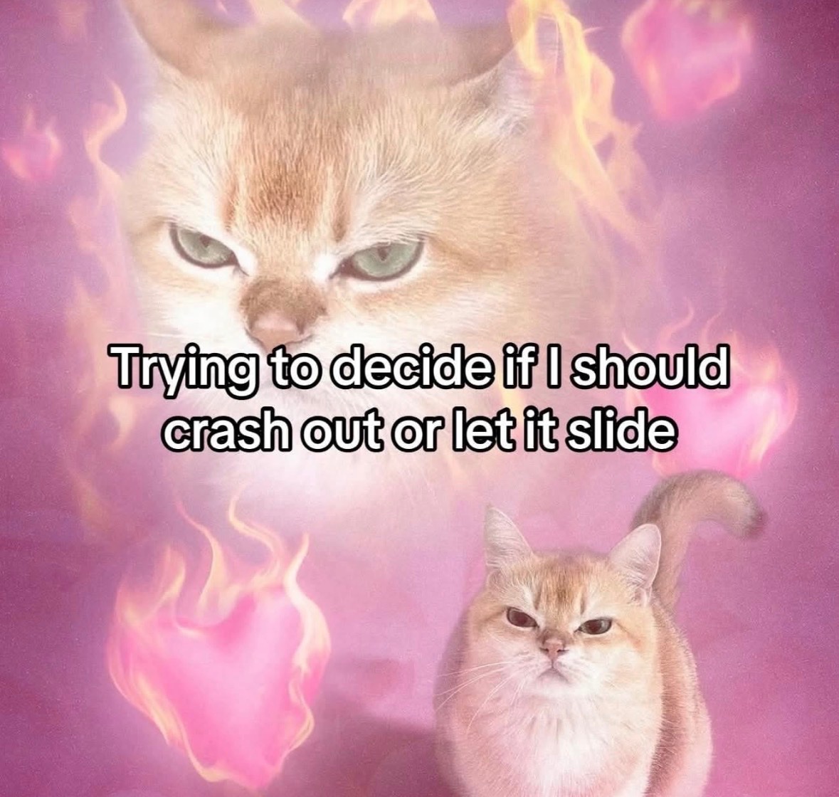 Respectful Memes tweet media