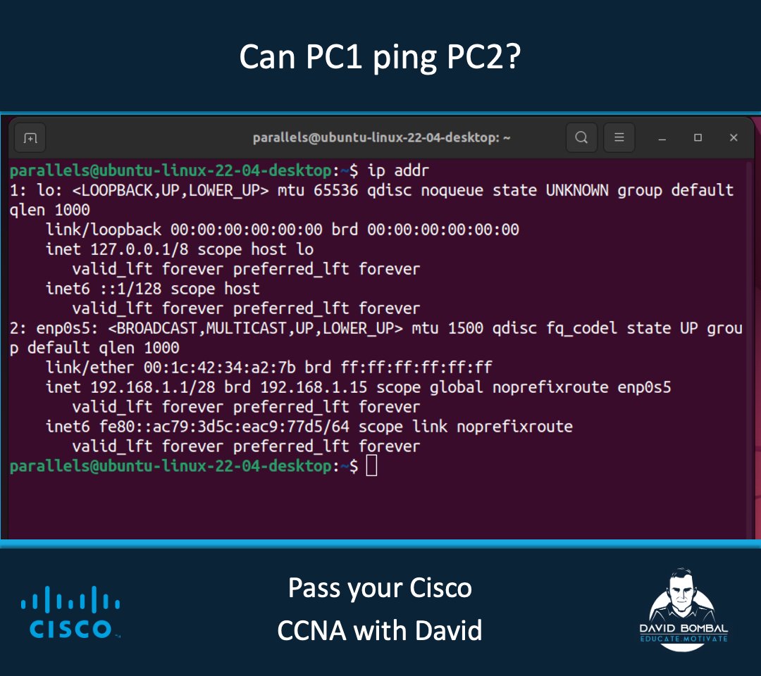 David Bombal tweet media