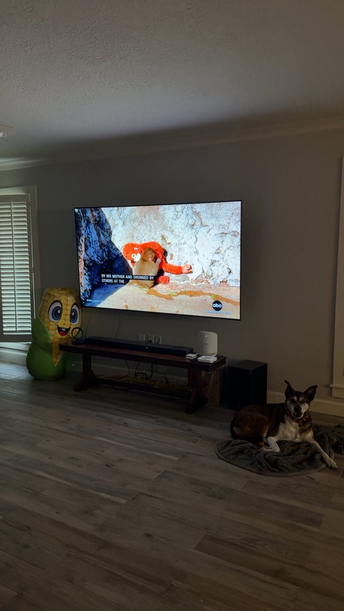 fuckass $punch on the news 😭