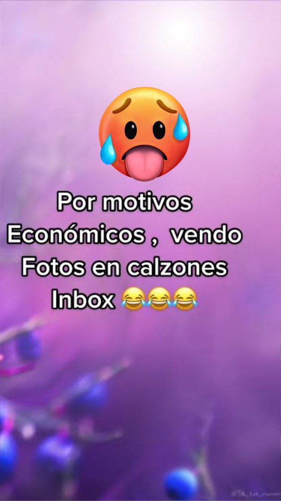 MonthseGarza tweet media