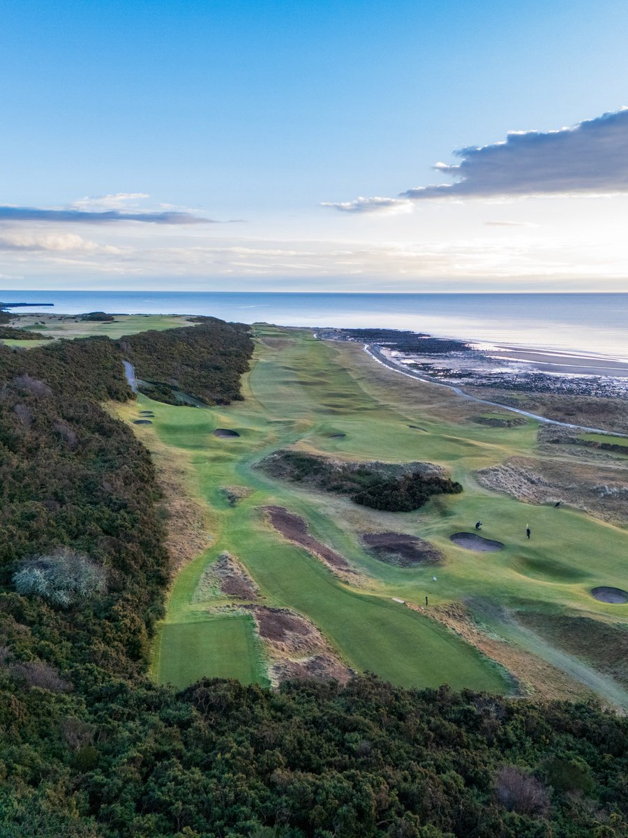 Ralph Wardlaw tweet media