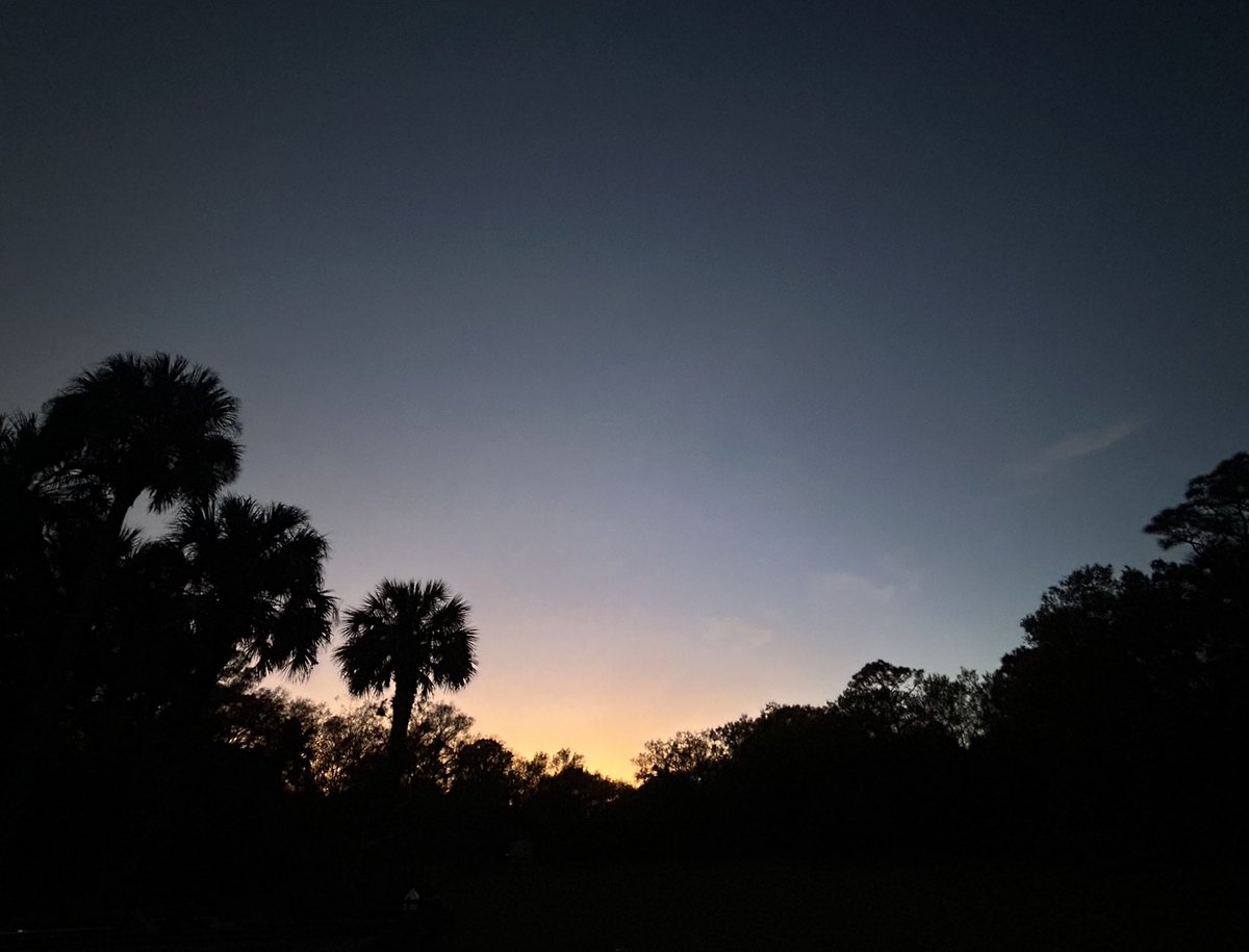 Reverie in Ruins (@sighandsubmit) on Twitter photo 