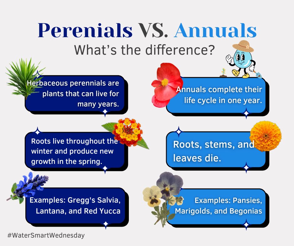 City of Grand Prairie, TX tweet media