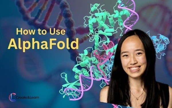 Create & Learn tweet media