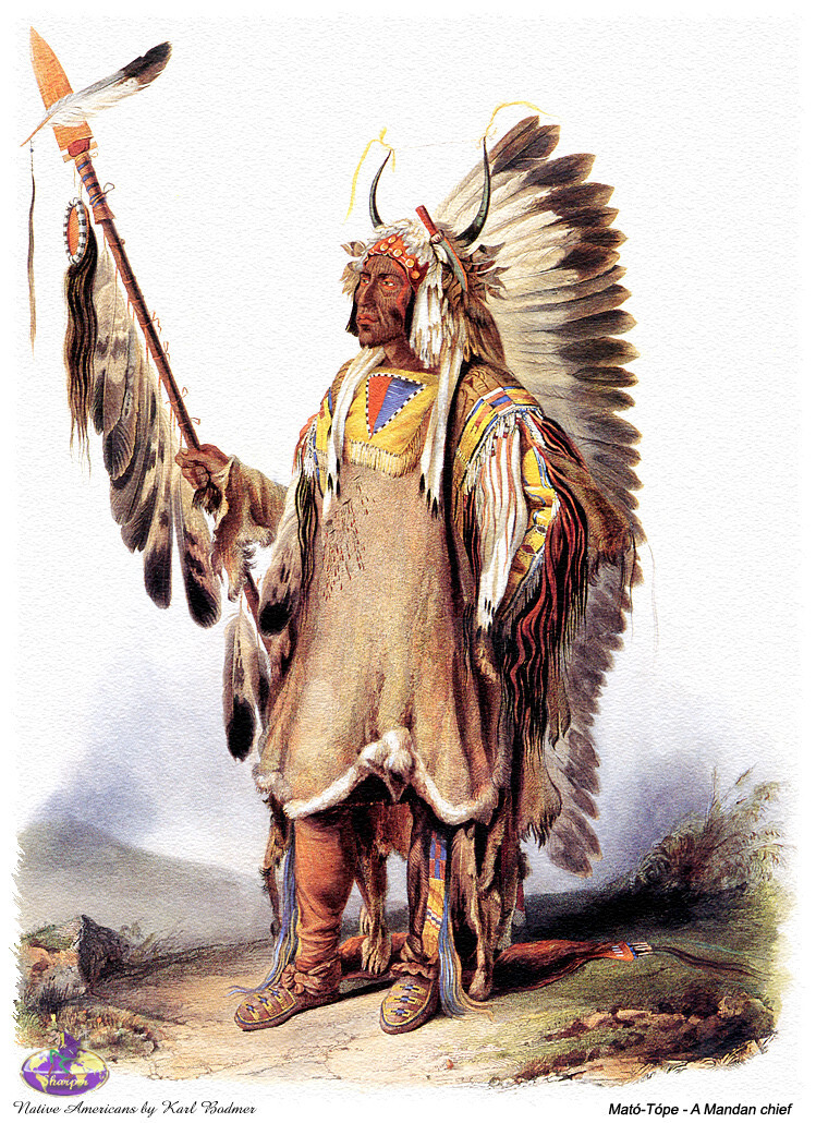 Karl Bodmer tweet media