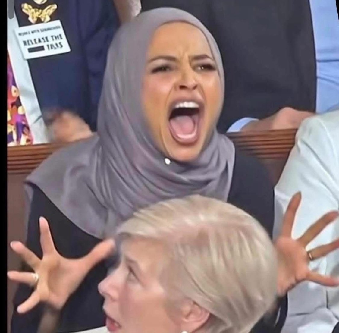 MicahBeckwith's tweet image. Democrat Muslim women from last night’s State of the Union address. #classy 🙄