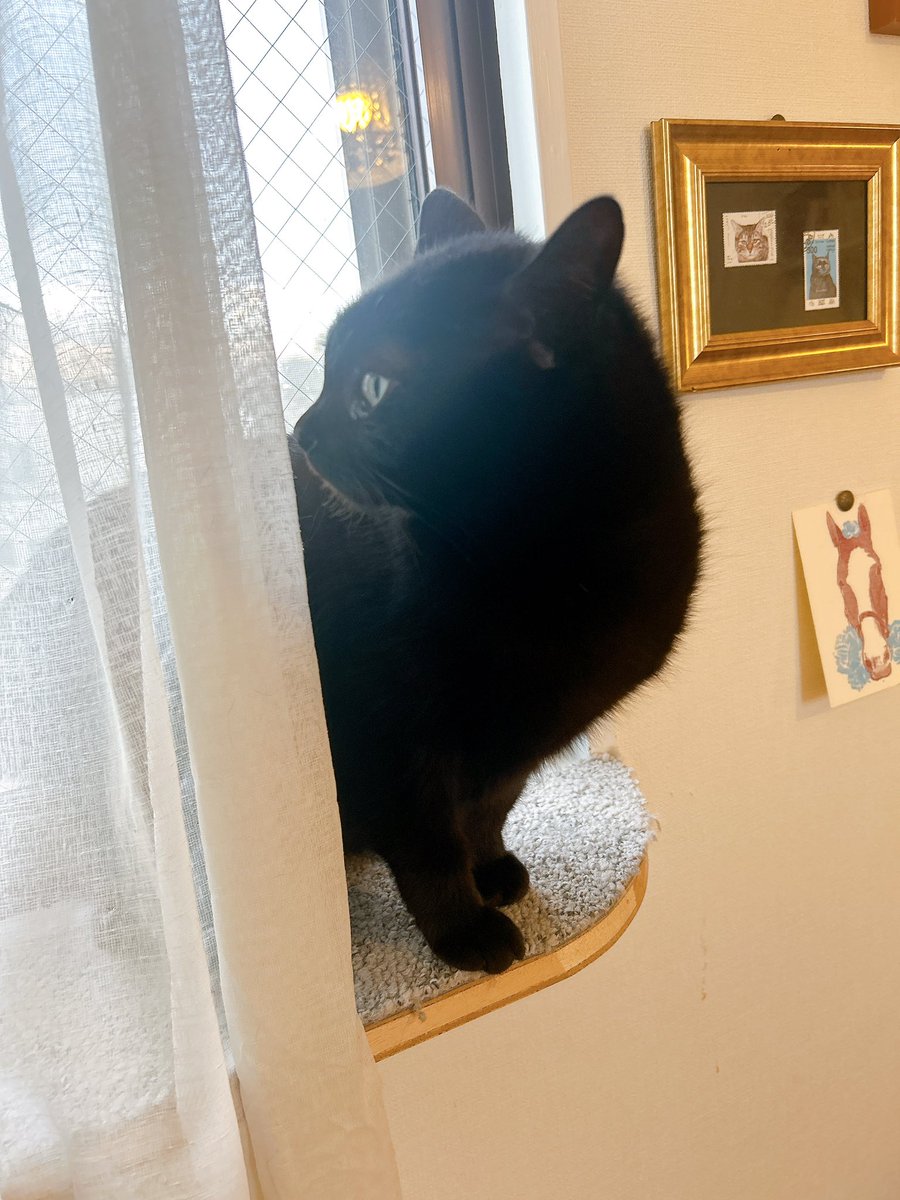 吉濱あさこ🐾イラストレーター tweet media