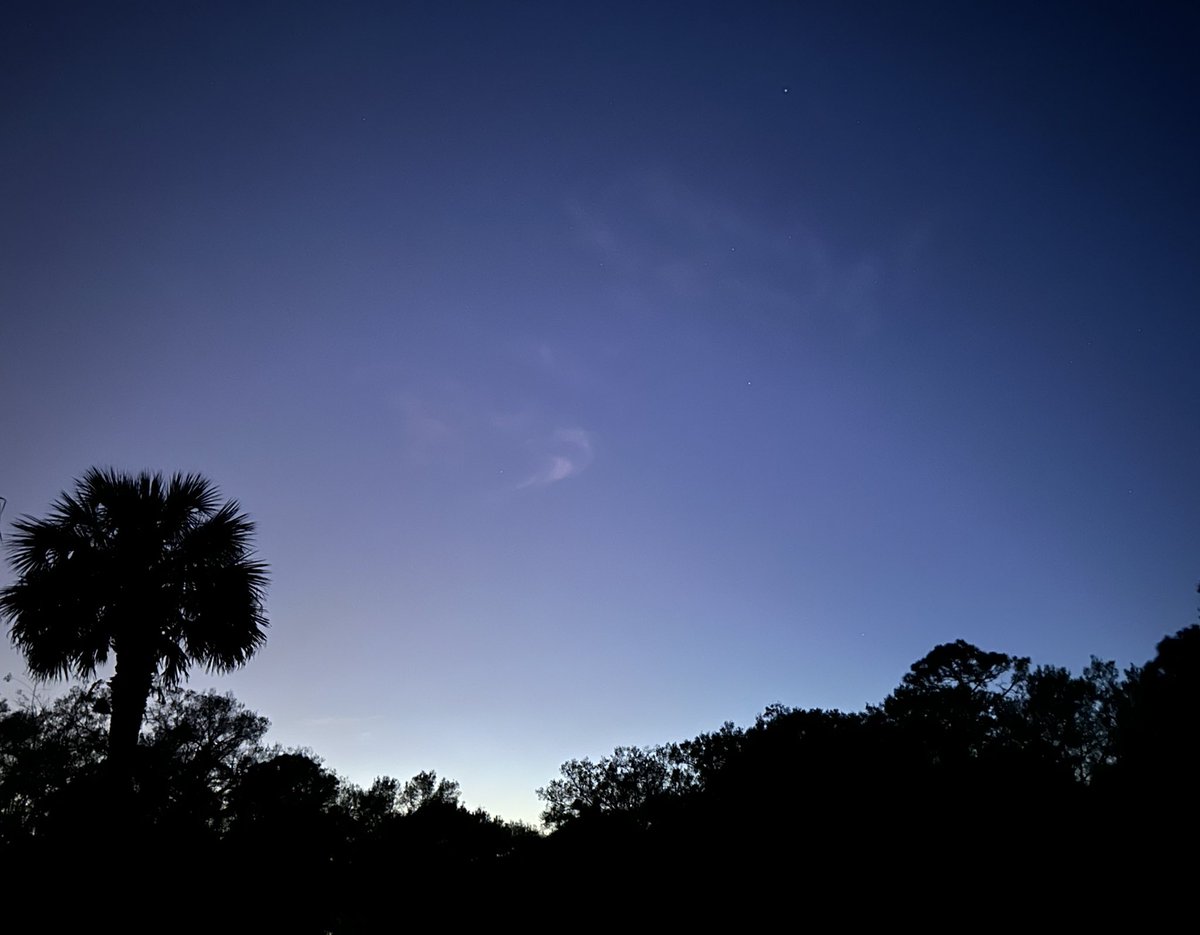 Reverie in Ruins (@sighandsubmit) on Twitter photo 