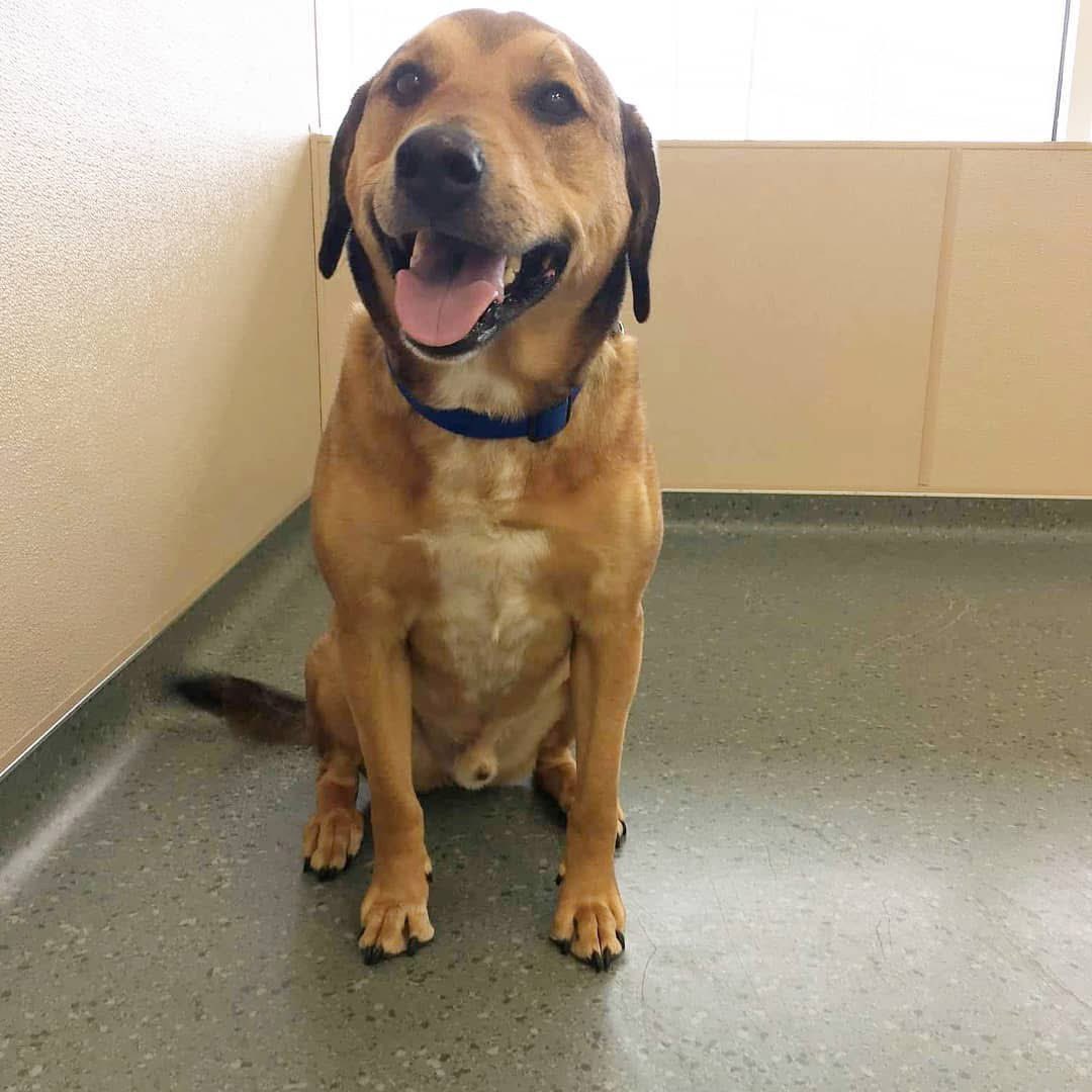 Chris (Official) 🧬 tweet media