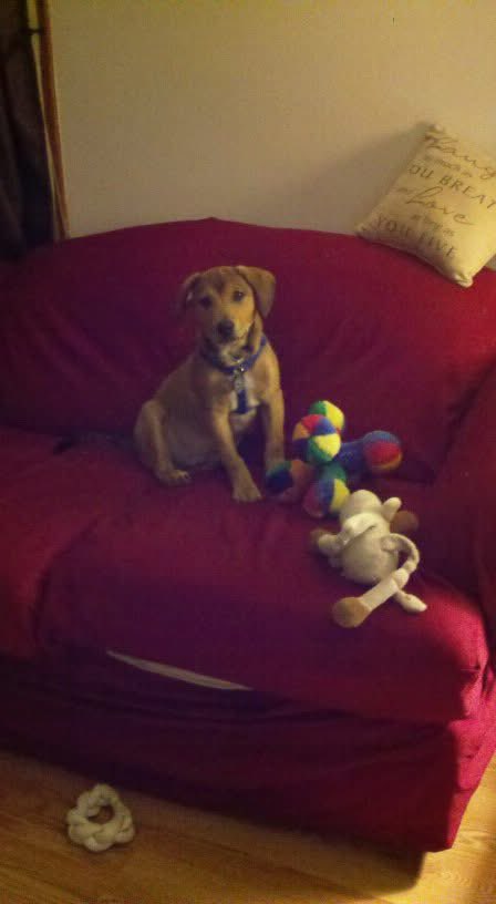 Chris (Official) 🧬 tweet media