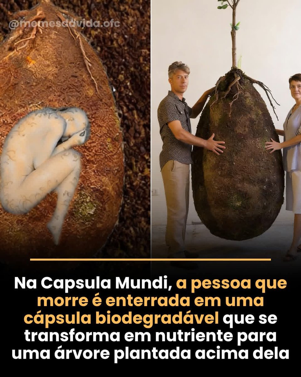 Paulo de Tarso tweet media