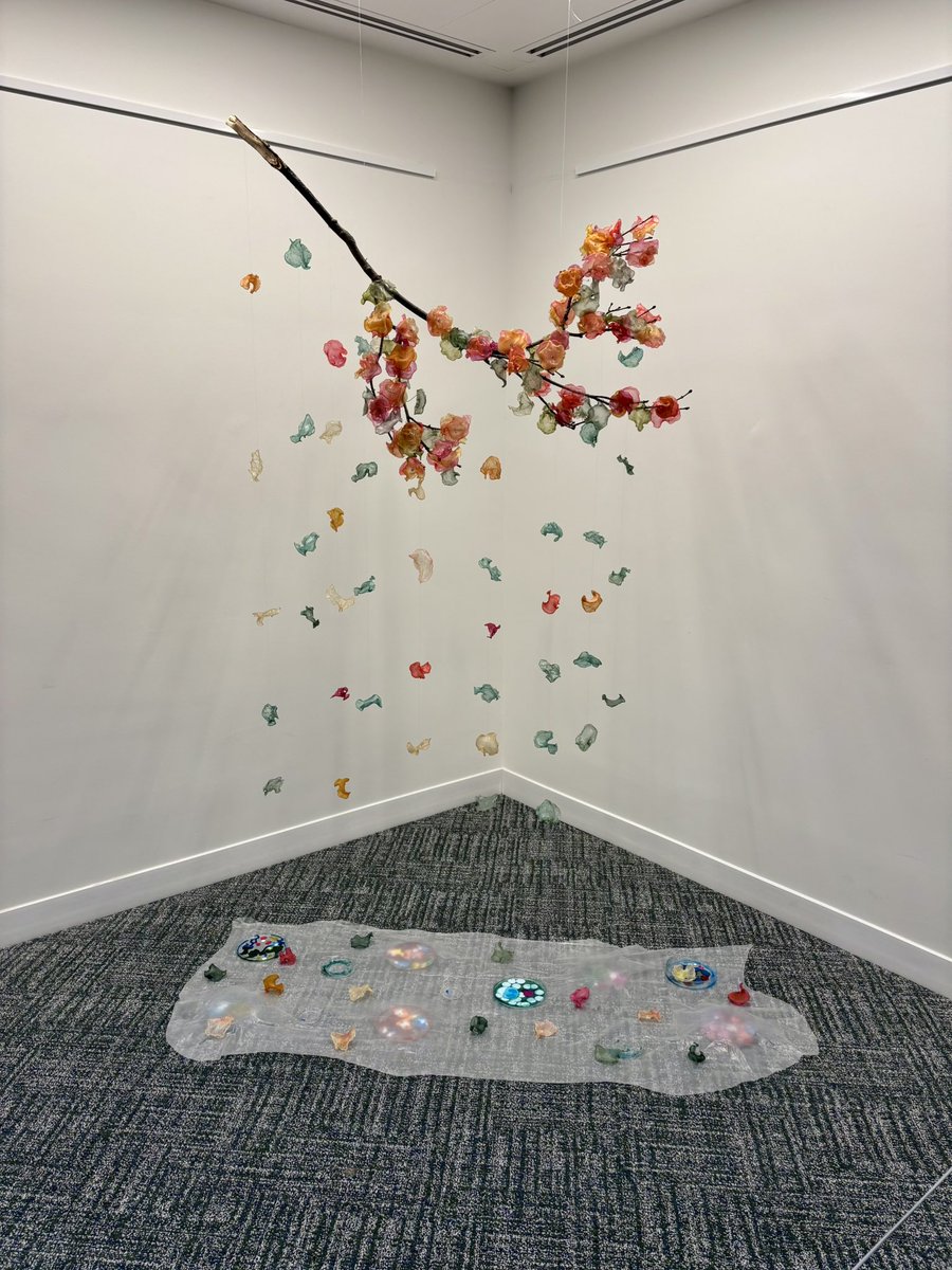 Dan Hardy tweet media