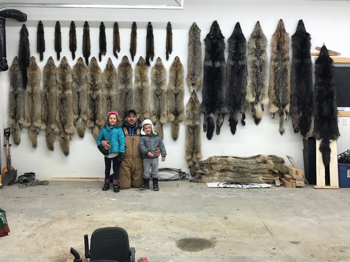 Darcy Timchishen tweet media