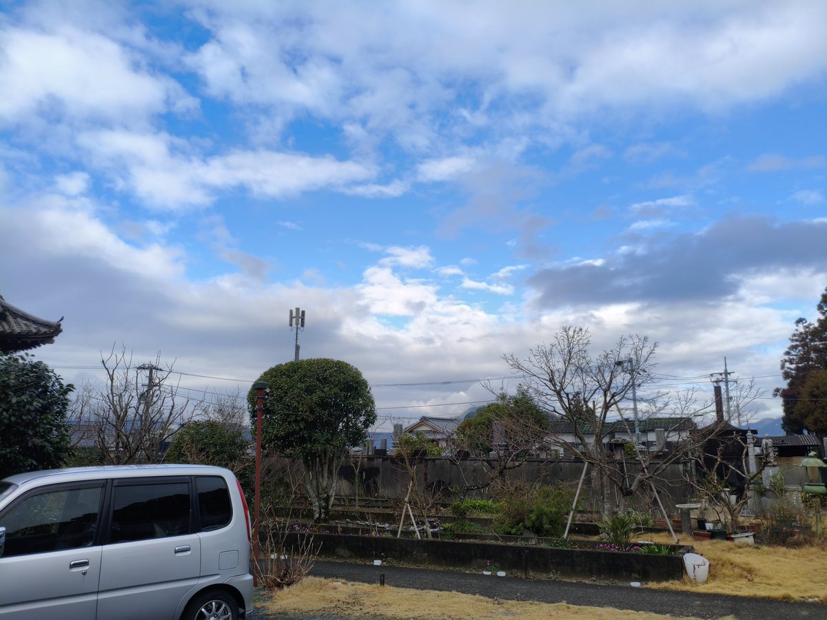 THANKS RIN／サンクスリン tweet media