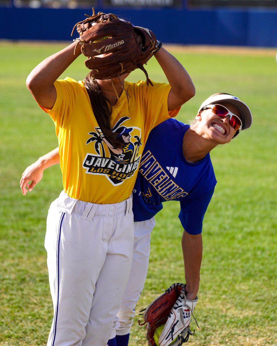 Javelina Softball tweet media