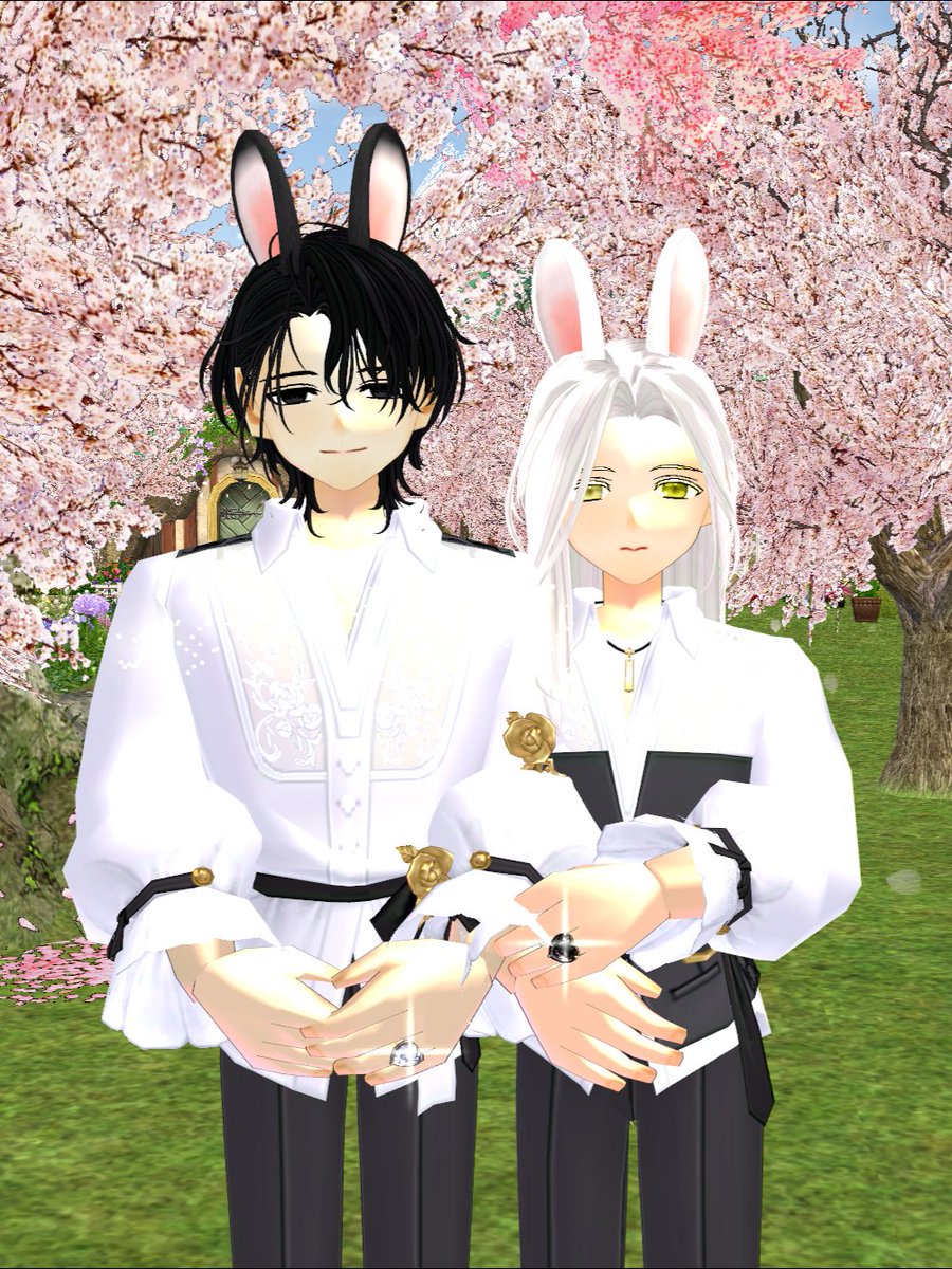 가리는게 너무 많아져서 트친소는 할수가없흠 
제가 키우는 아기토끼 레넨을 보고 지나가세요