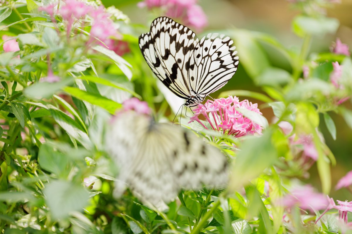 おはようございます🏍³₃