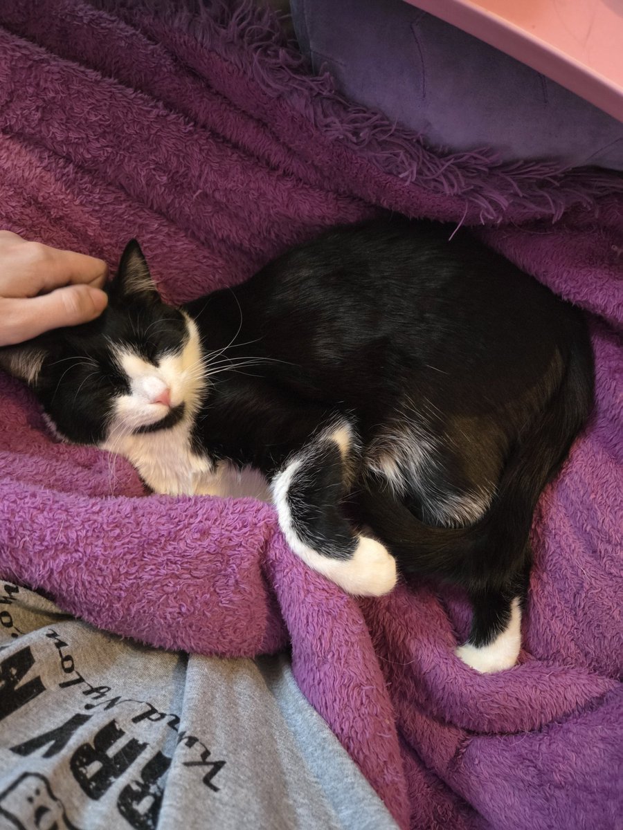 Miss Emily Rose tweet media