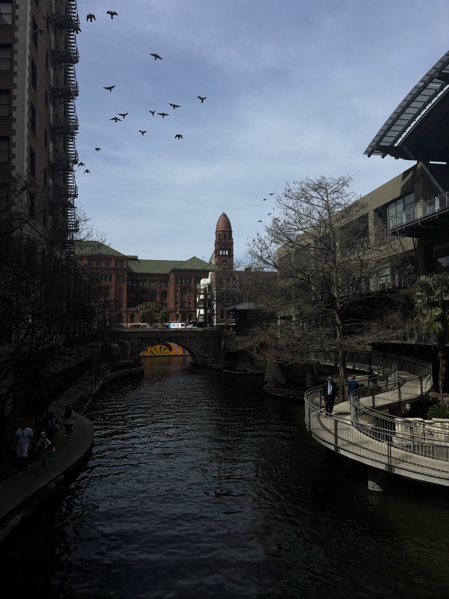 je ne sais quoi tweet media