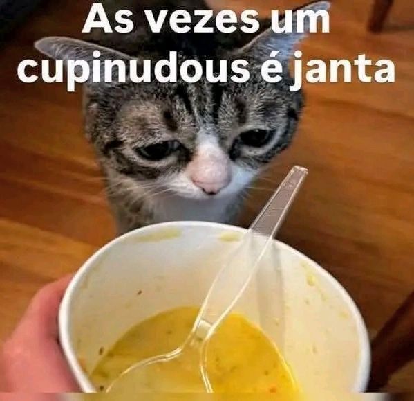 𝑀𝐼𝑀𝐼𝐶᪵ 👾 D.M.C 3 tweet media