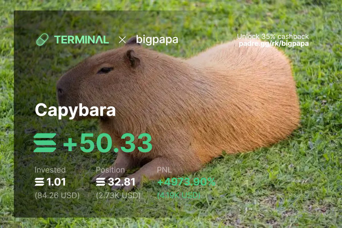 BIGPAPA tweet media