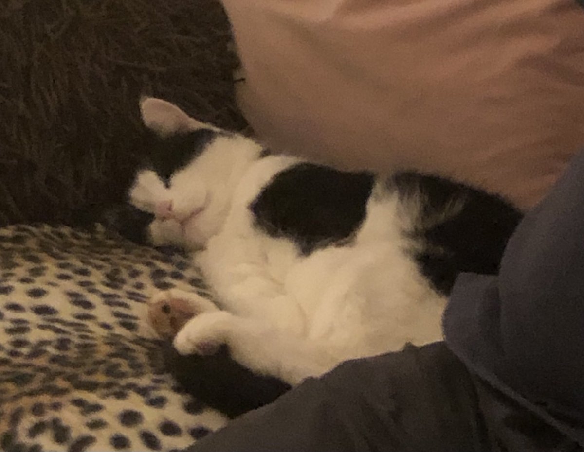 Jacqueline Murphy tweet media