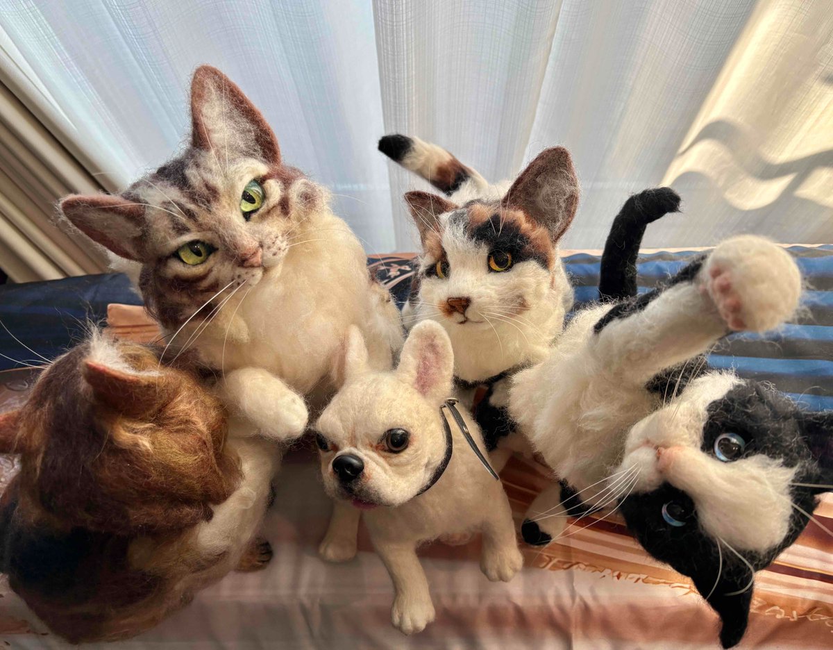 錦糸町］本物みたい、フワフワの羊毛を使って、かわいい ＃猫ちゃん