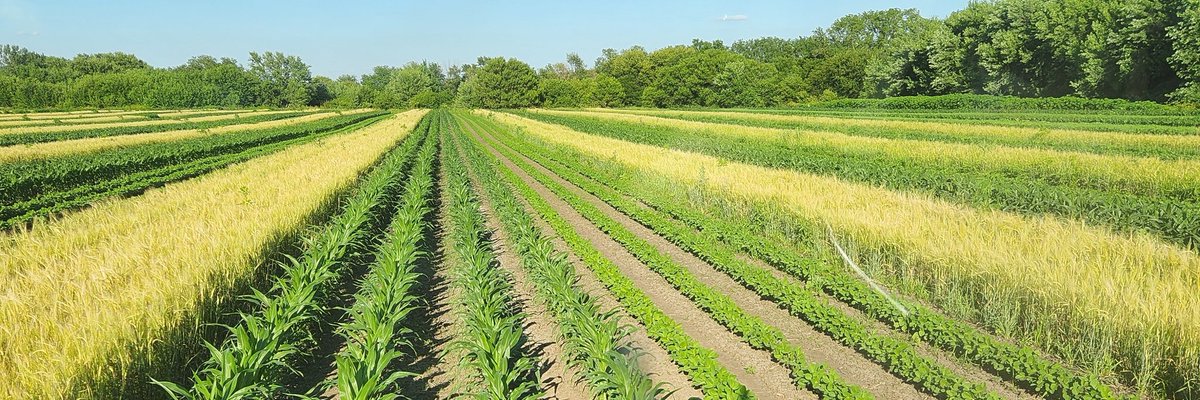 Dustin Farnsworth tweet media