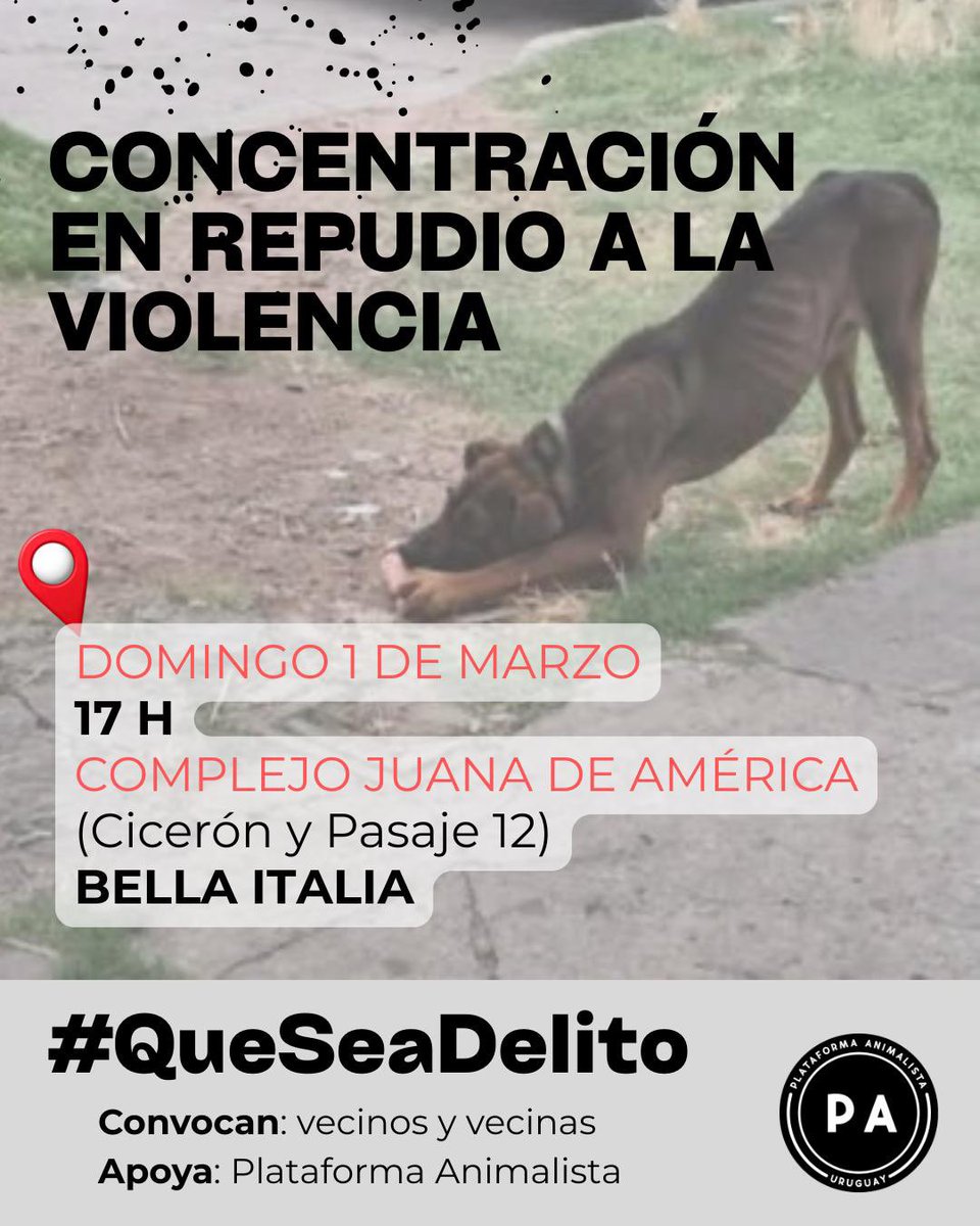 PA_Uruguay's tweet photo. Que su muerte no quede en silencio. 

Vecinos con el apoyo de nuestro colectivo, estamos convocando a una concentración en el lugar donde lo mataron. Donde un vecino lo acuchilló porque mordió levemente a su hija. Y no fue en defensa, fue en venganza. https://t.co/trID3m7Bhf