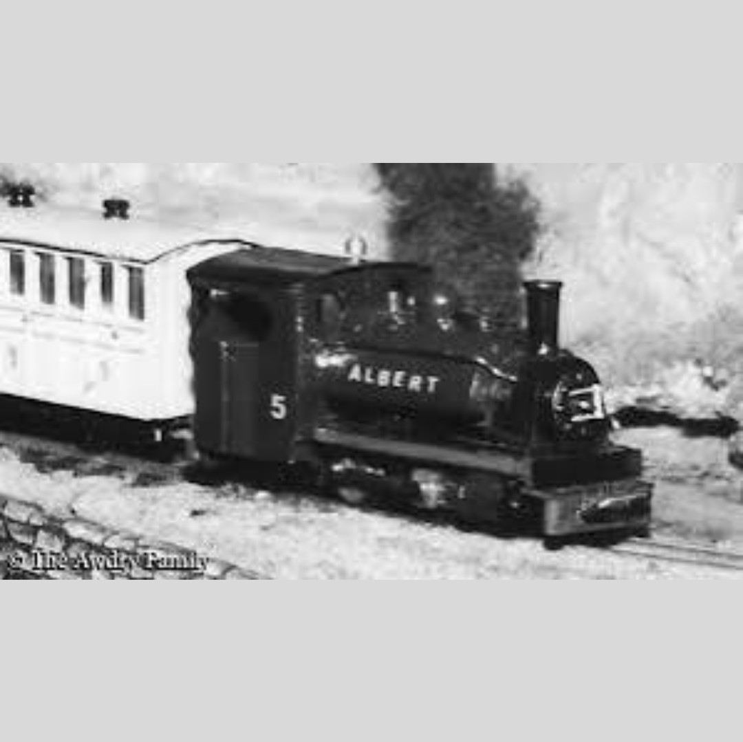 DoubleM Models tweet media