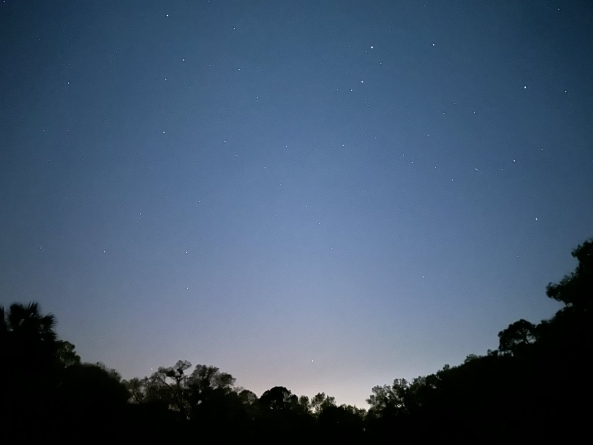 Reverie in Ruins (@sighandsubmit) on Twitter photo 