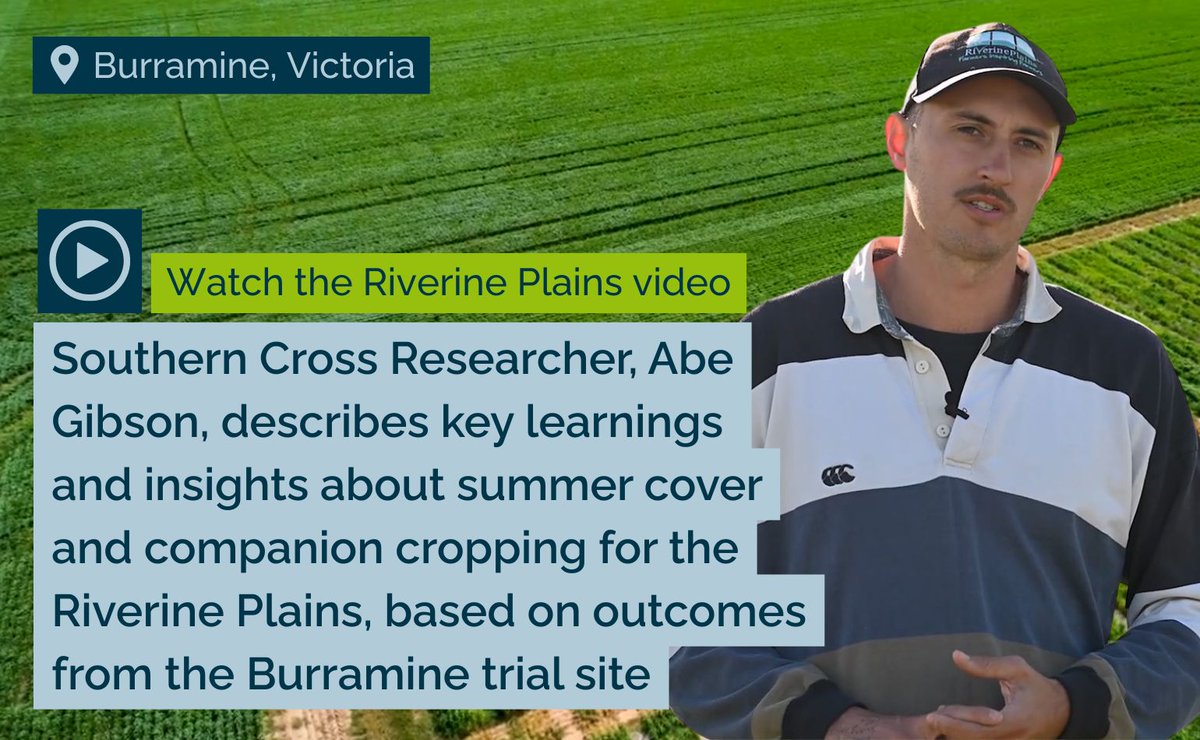 Soil CRC tweet media