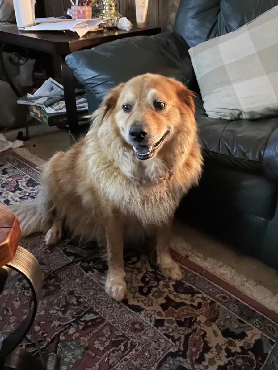 Dogs have the right idea. 
If you can’t eat it or F it, piss on it and walk away. 
The world according to #Creed