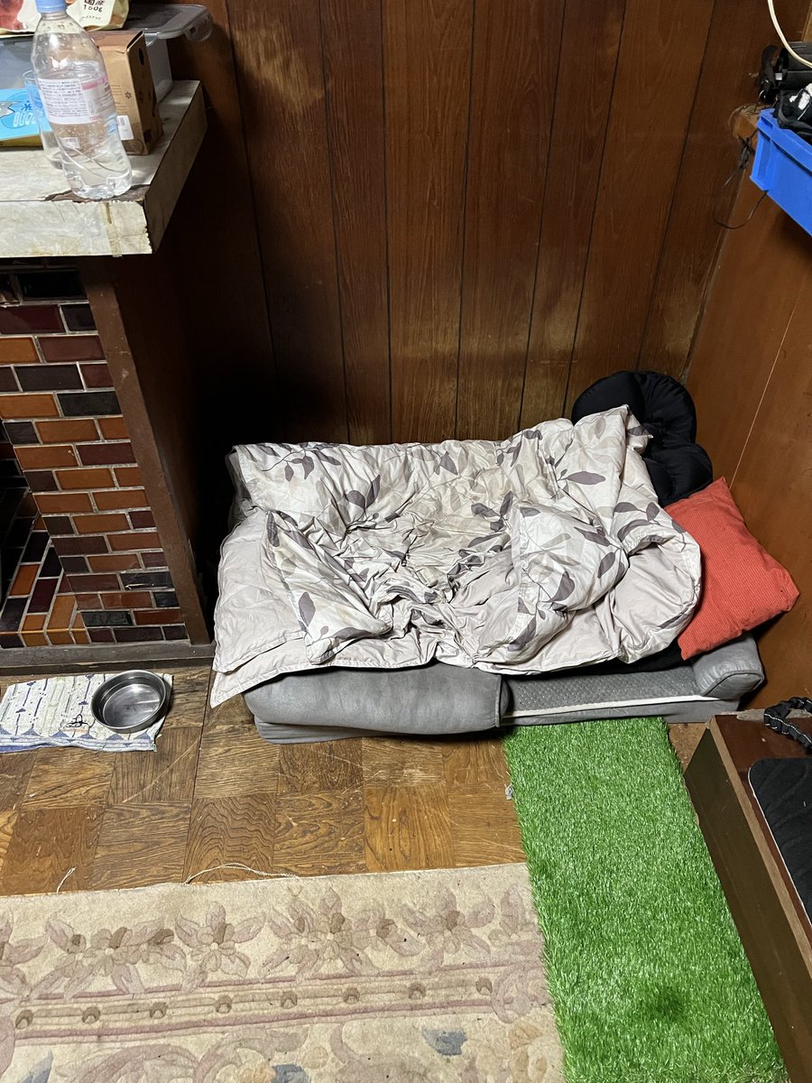 solex3200's tweet photo. 嵐が実家に帰りました？麗のベッドは今日も冷凍の跡が綺麗にのこってますさすが女の子 https://t.co/JPdezcpexr
