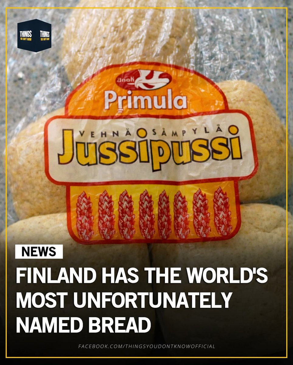 😂😂😂😂😂😂