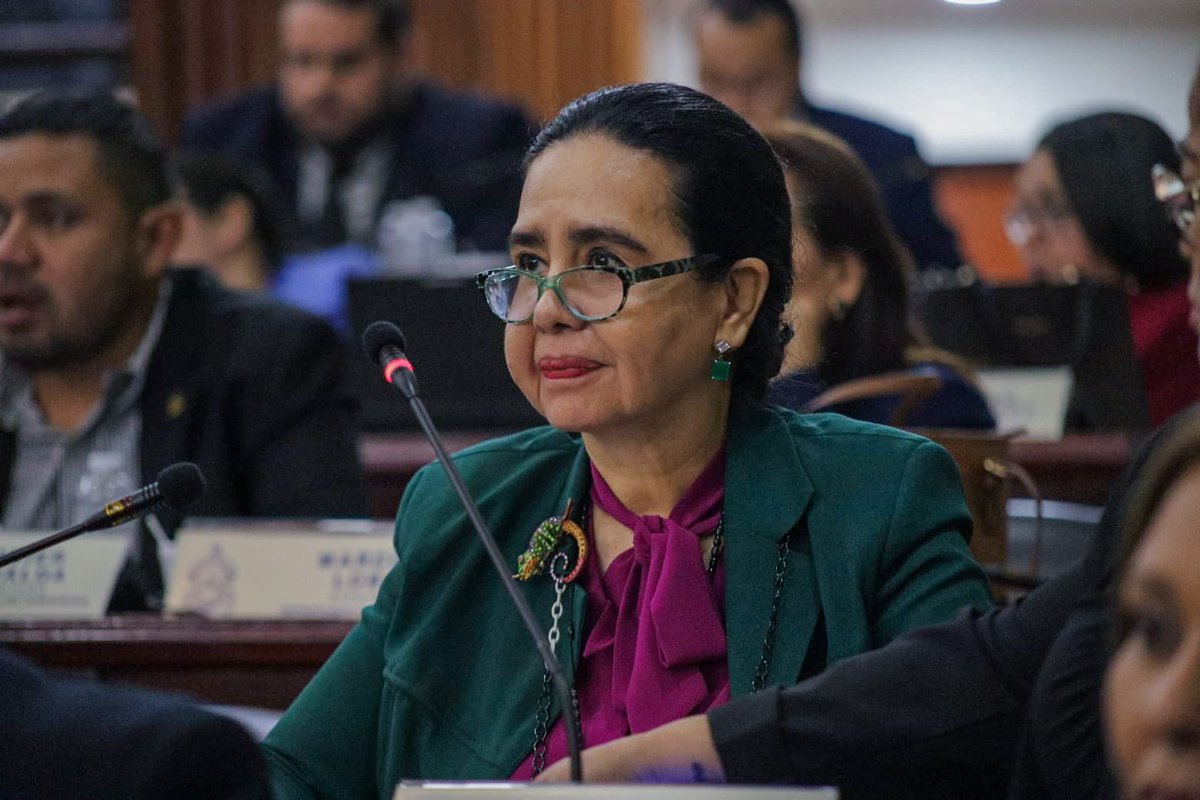 🏛️ Proyectos Legislativos | Luz Ernestina Mejía|Partido Liberal

1. 💰 Beneficios para Jubilados
Se propone adicionar un numeral al Art. 31 de la Ley de Jubilados, con el fin de proteger la economía de nuestros adultos mayores.