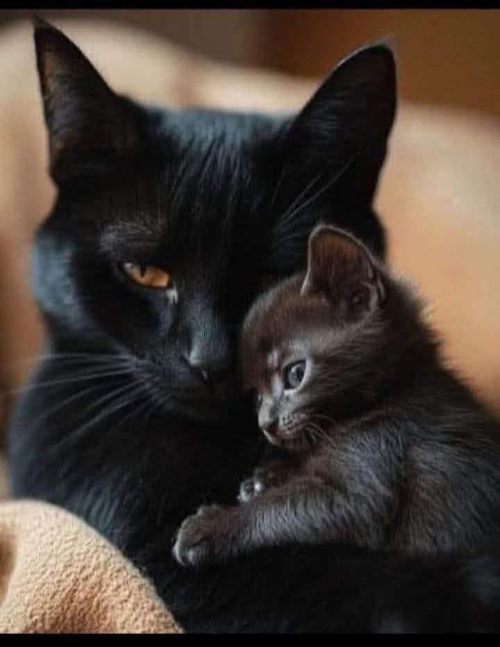 Just say hi! So we know you are still active in this group