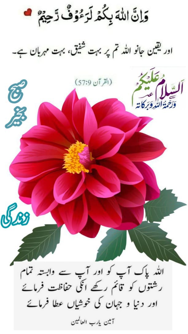 _Rai786's tweet photo. Promo
#رائے_پروموشن 
@_Rai786
@_Rai777
@_Rai72
@taslimasim
💯
@Syeda1p
@sm_040
@_its_kanwal
@haimaAni
💯
@t_bas4
@0pakpti1
@_Akmal__
@Rizvi01100
@ZT_786
💯
@M_a_143
@Bee_Classy4
@Sehrish_45
@Adnff1

💯

🌴🌴🌴

7686 https://t.co/sWuJ7YDxbm