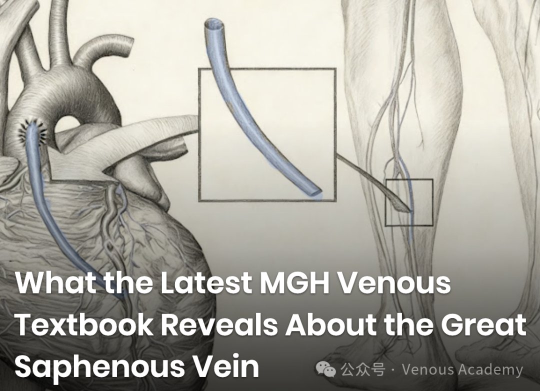 Gsv Course Radiology Asian Venous Academy (@asian18568) / Posts / X