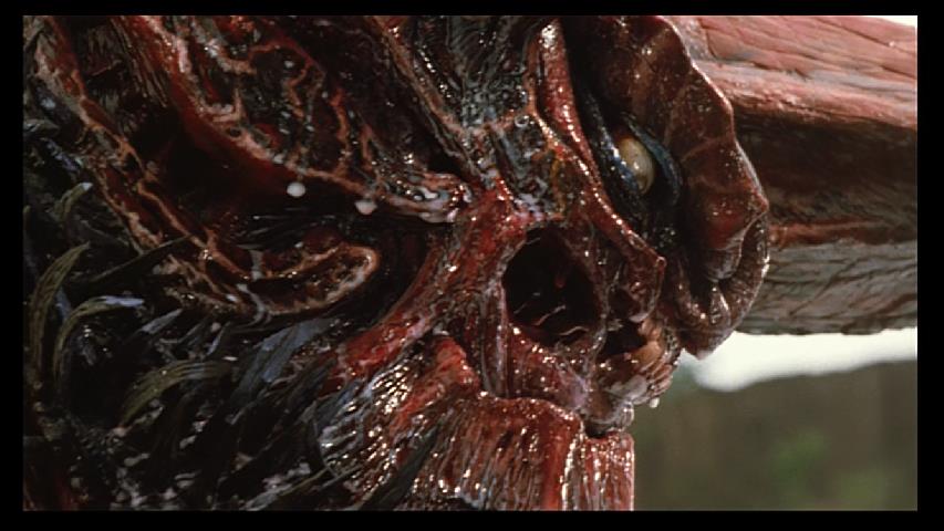 これを見た人は好きな神映画を挙げる #タオの月